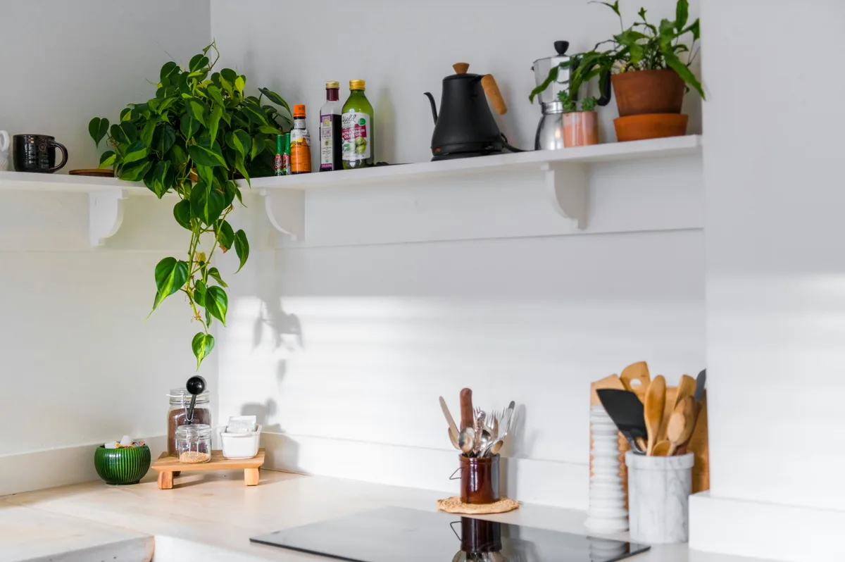 Organized kitchen corner with open shelf holding plants oils kettle and jars