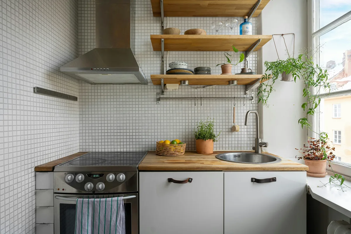 Small kitchen with open wooden shelves beside a sunny window with plants