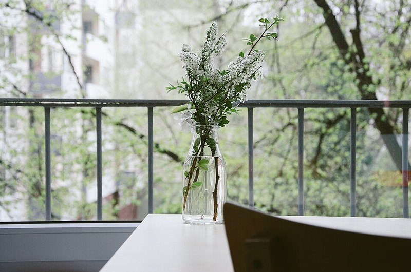 Glass vase with white flowers on table, dollar store vase makeover idea