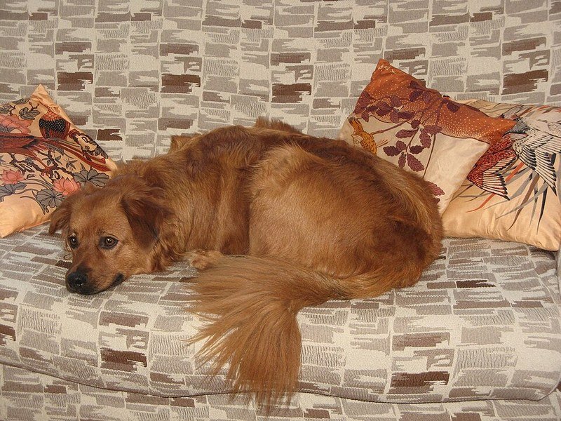 Sofa with throw pillows, dollar store DIY placemat pillow covers