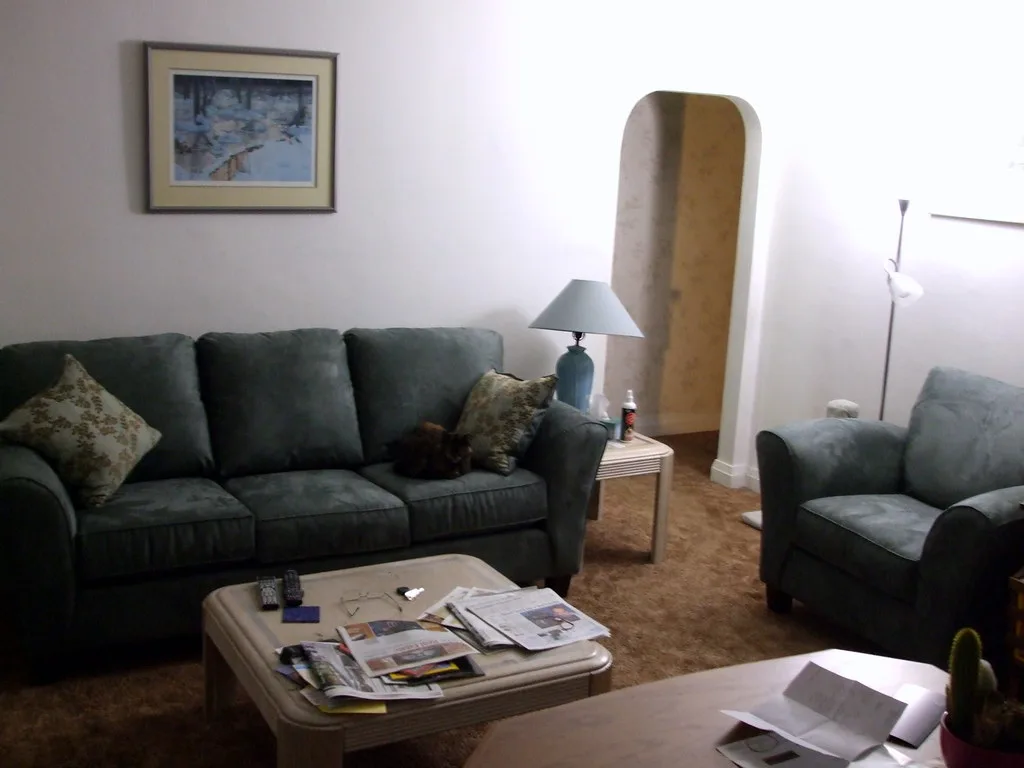 Living room with dark green sofa and armchair