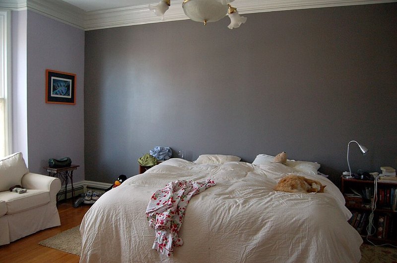Bedroom with a painted dark accent wall behind the bed, a cheap small apartment decorating idea