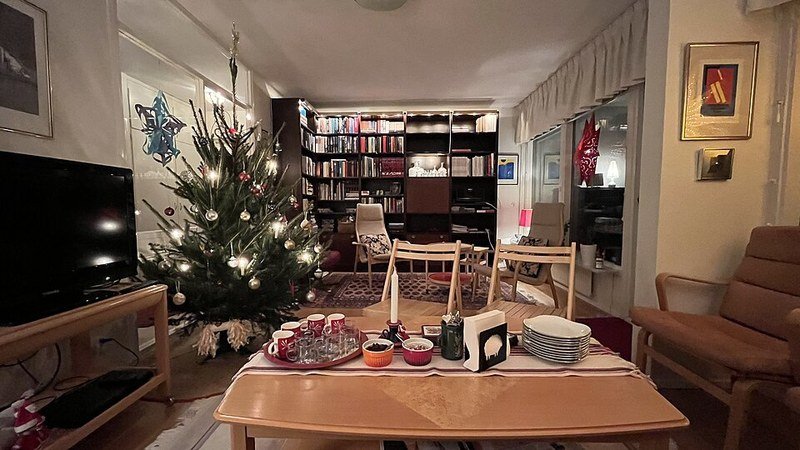 Cozy small living room decorated for Christmas with a tree and lights