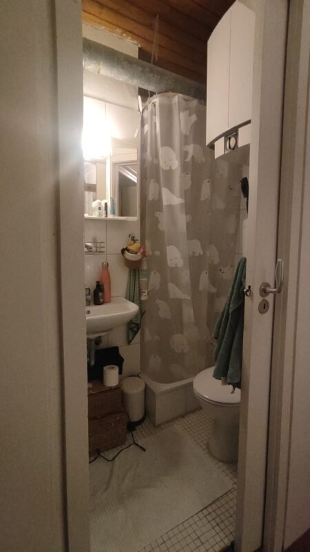 Tiny bathroom with wall-hung sink, mirror cabinet, toilet and shower