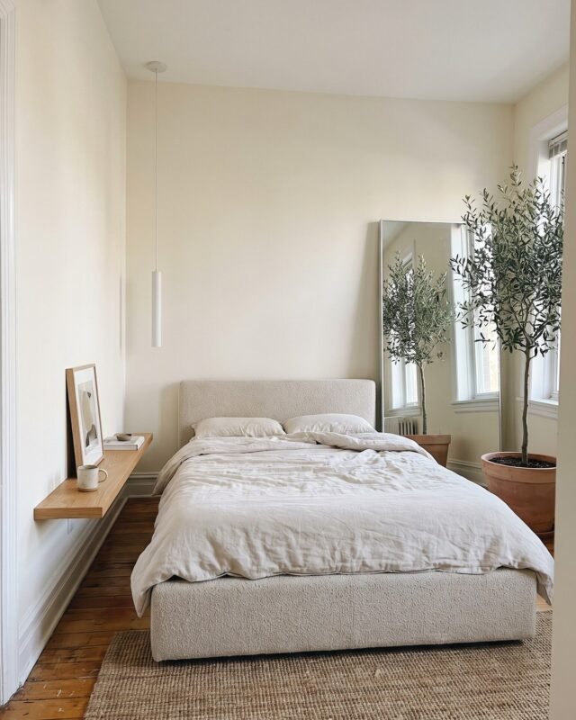 Calm minimalist bedroom with white bedding and potted olive tree, simple peaceful interior