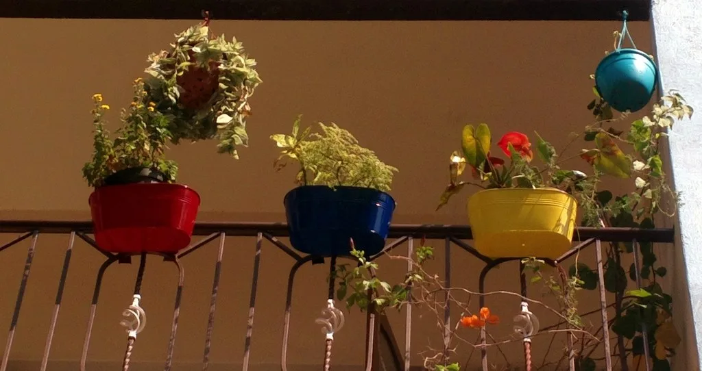 Colorful planters hanging on a balcony railing