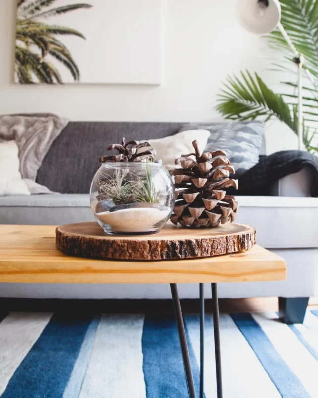 Coffee table with a glass air-plant terrarium