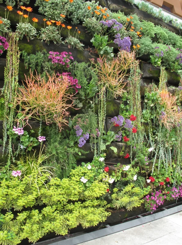 Lush vertical living wall of plants