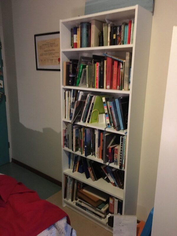 Tall slim white bookcase using vertical wall space for books in a small room