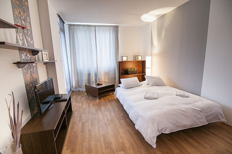 Studio apartment with a sofa bed doing double duty as seating and guest bed